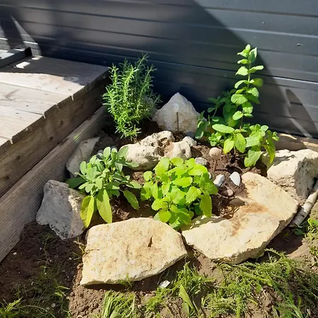 Tinyhouse * Wemding